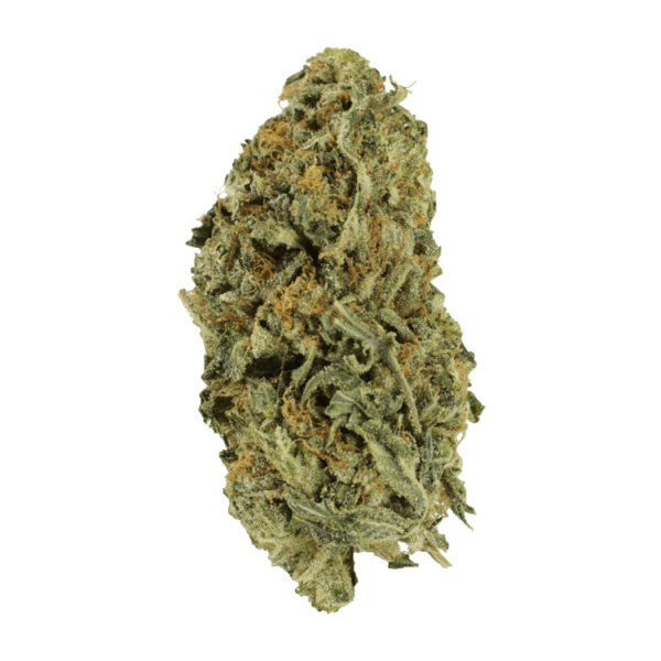Grass Death Bubba