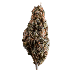 Bermese Kush