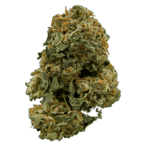 grass-flower-G13