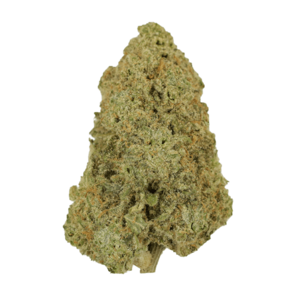 GrassLife - Super Silver Haze