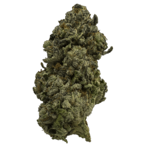 grass-blackberry_kush