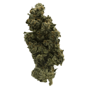 GrassLife - Pink Gorilla