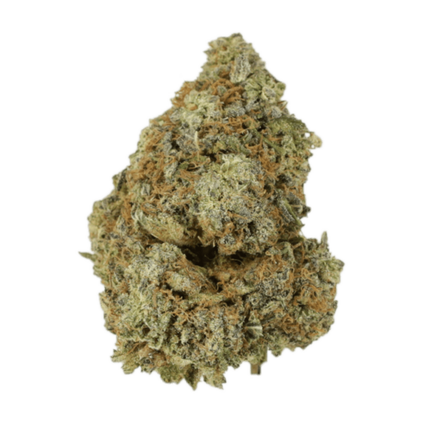 Grass Grandaddy