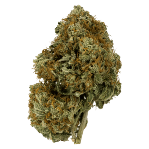 Grass Thin Mint GSC