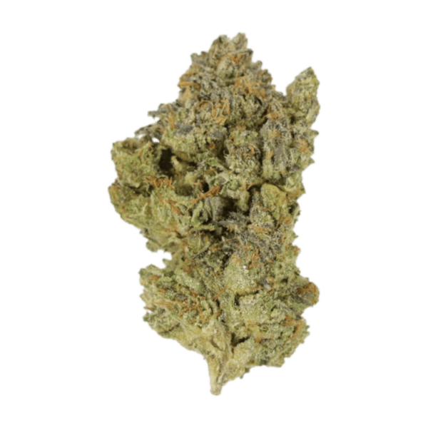 GrassLife - Golden Goat