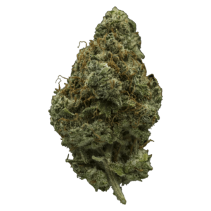 GrassLife - Flower Black Diamond
