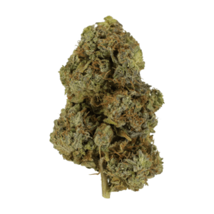 Lemon Creme - Hybrid - Sativa Dominant