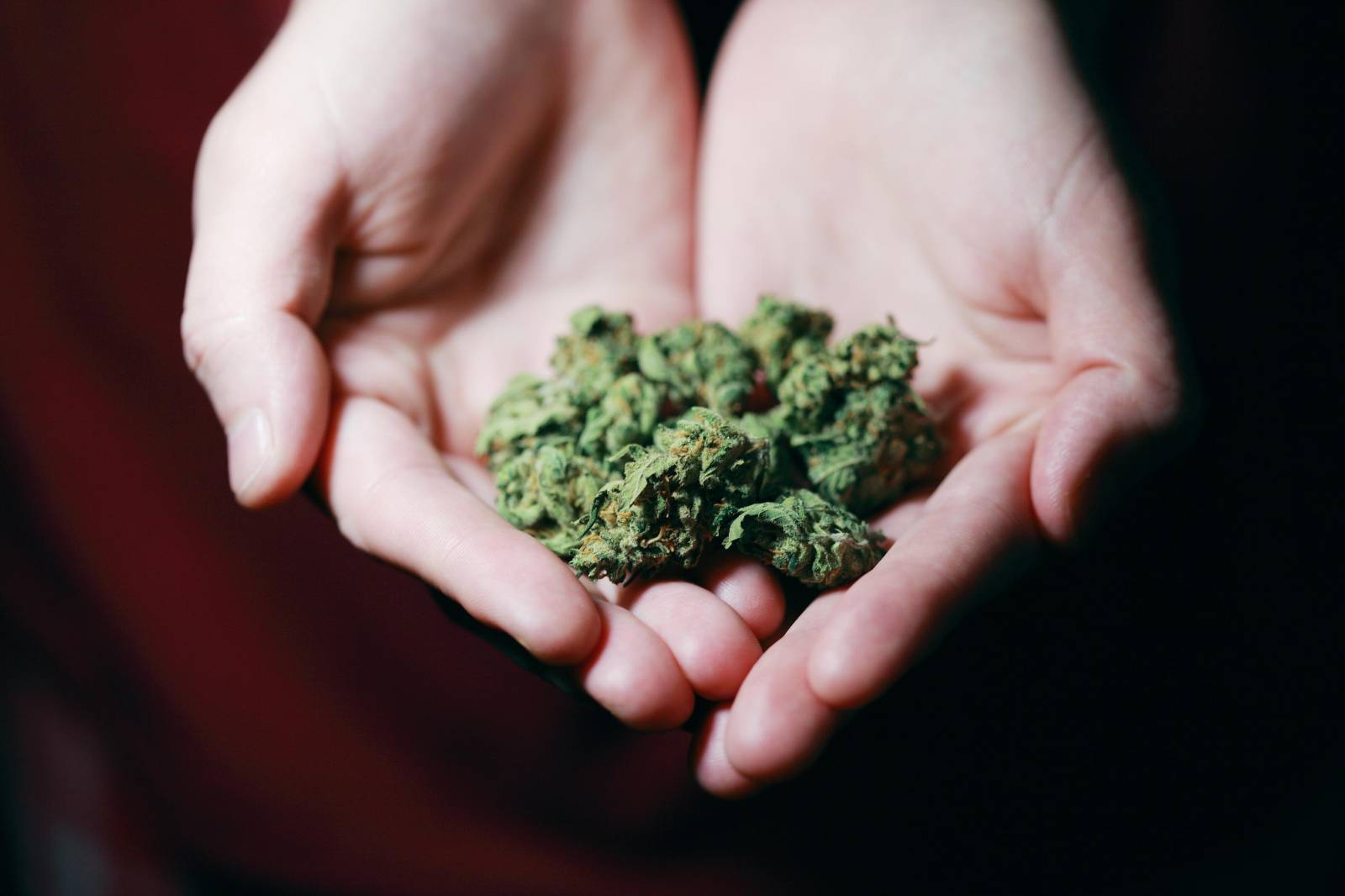 Best dispensary in Canada Buy Weed Online Canada